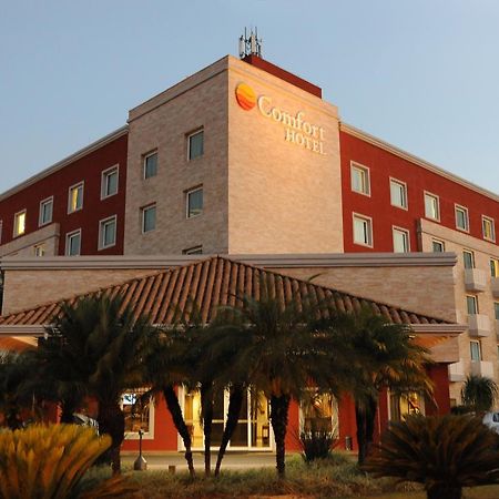 Comfort Hotel ארארקוארה מראה חיצוני תמונה